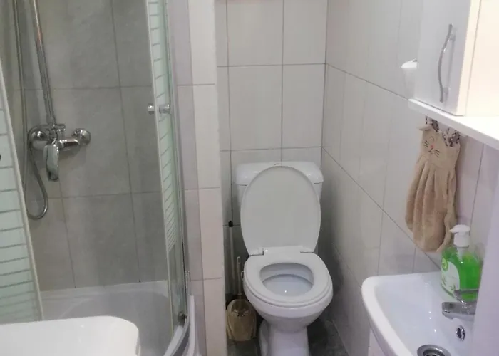 центр, галицький район, площа ринок, оперний театр, вулиця котлярська 5 * Lviv