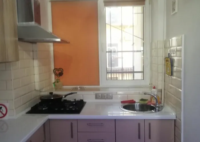 центр, галицький район, площа ринок, оперний театр, вулиця котлярська 5 Leópolis