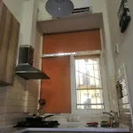 центр, галицький район, площа ринок, оперний театр, вулиця котлярська 5